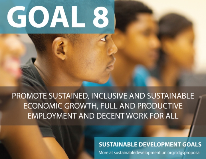 eight sustainable development goals