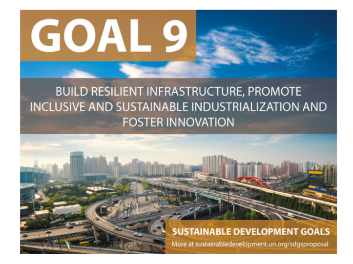 nine sustainable development goals